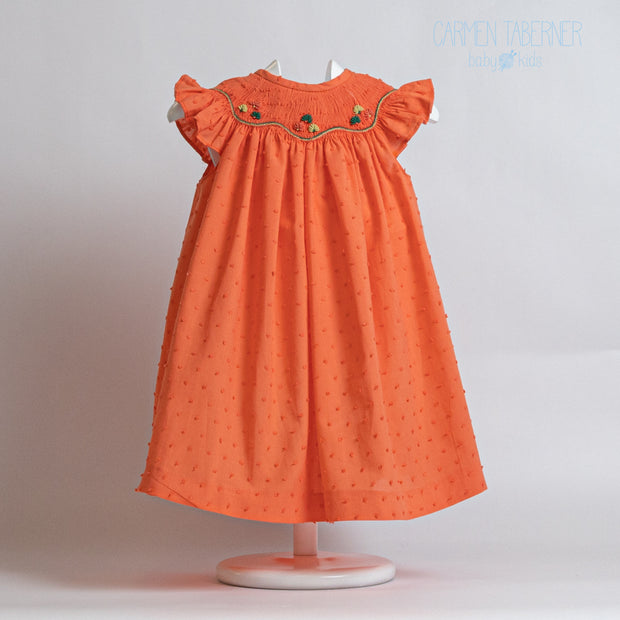 Coral Embroidered Baby Dress