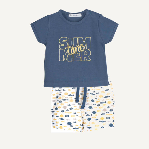 Baby Boy Summer Shirt & Shorts Outfit